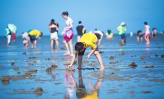 廈門(mén)灘涂趕海+帆船體驗一日游